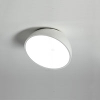 SELDEN Ceiling light fixture