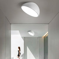 SELDEN Ceiling light fixture