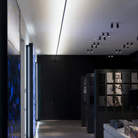 LINE STRING LUMINAIRE SYSTEM Pendant light