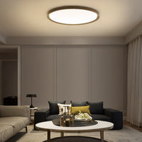 EXTRASLIM Ceiling light fixture