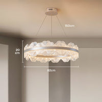 STEVIE Ring lighting fixture