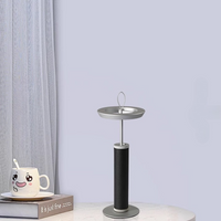 STIEG Desk Lamp