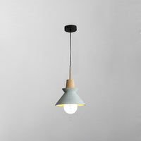TAGA Pendant light