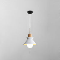 TAGA Pendant light