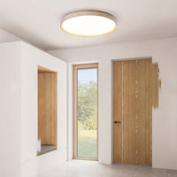 TORILD Ceiling light fixture