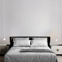 VAN Pendant light