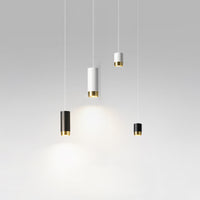 VAN Pendant light