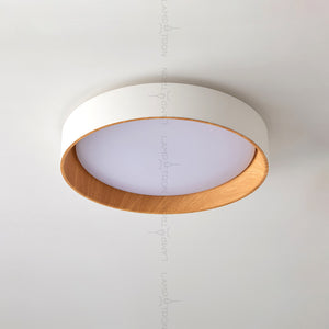 WENNY Ceiling light fixture