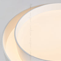 WINTON Ceiling light fixture