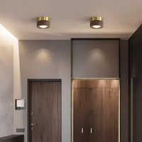 WOODSPOT DARK Spot light fixture