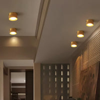 WOODSPOT LIGHT Spot light fixture