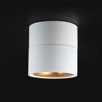 AGENDA Spot light fixture