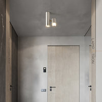 AIM Spot light fixture