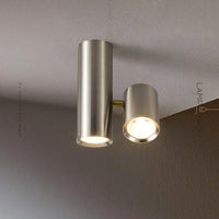 AIM Spot light fixture