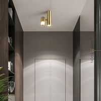 AIM Spot light fixture