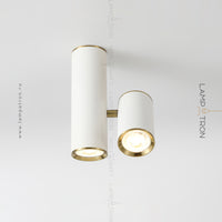AIM Spot light fixture