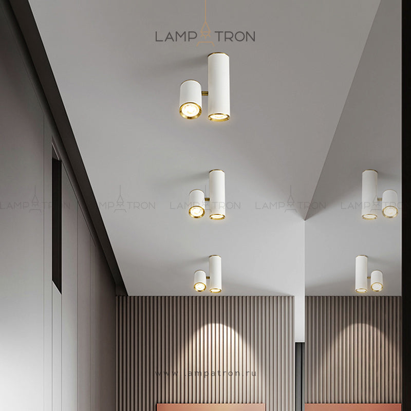 AIM Spot light fixture