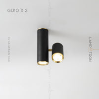 AIM Spot light fixture