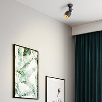 BONA Spot light fixture