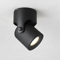 TINY B Spot light fixture