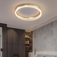 LIGO Ceiling light fixture