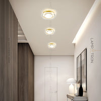 LIS Spot light fixture