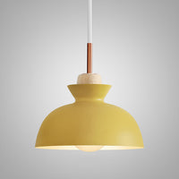 OMG Pendant light