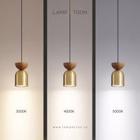 PIET WOOD Pendant light