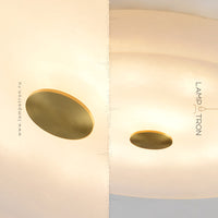 SALENA Ceiling light fixture