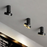 STIR Spot light fixture