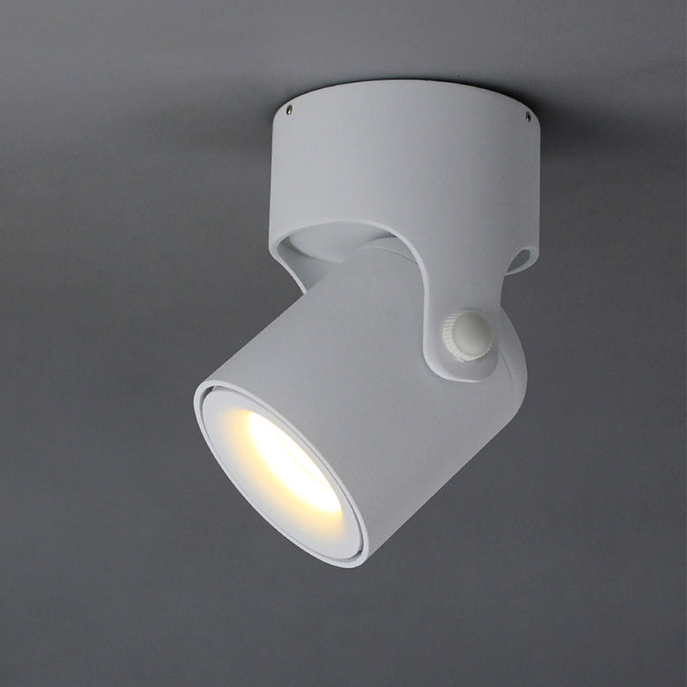 TINY B Spot light fixture