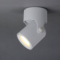 TINY B Spot light fixture