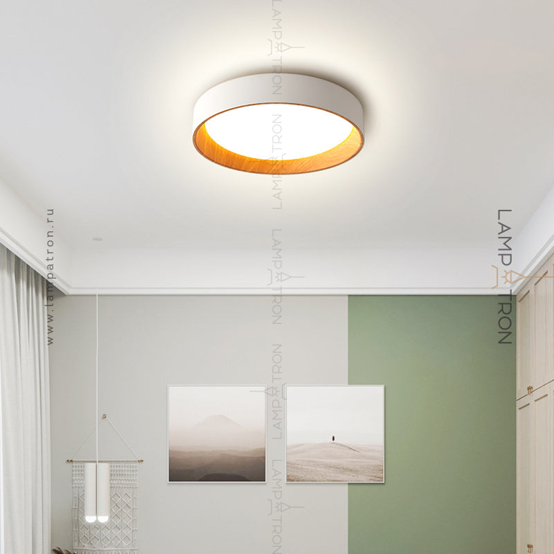 WENNY Ceiling light fixture