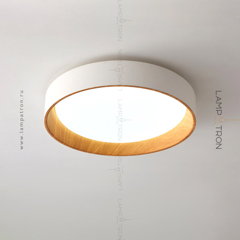 WENNY Ceiling light fixture