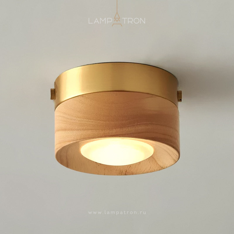 WOODSPOT LIGHT Spot light fixture