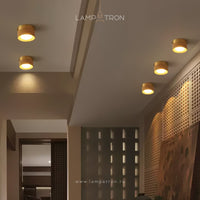 WOODSPOT LIGHT Spot light fixture