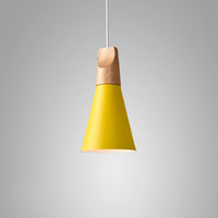 XD Pendant light