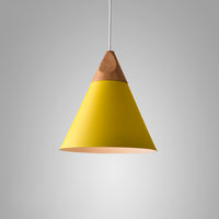 XD Pendant light