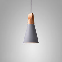 XD Pendant light