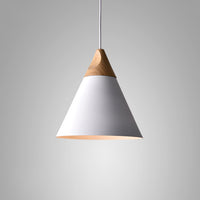 XD Pendant light