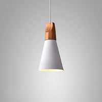 XD Pendant light