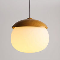 ACORNS Pendant light